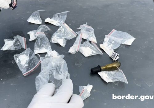 VIDEO // TRAFICANT DE DROGURI REȚINUT ÎN FLOREȘTI: DROGURI ÎN VALOARE DE 200.000 DE LEI, CONFISCATE