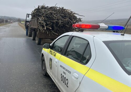TRANSPORT ILEGAL DE MASĂ LEMNOASĂ DESCOPERIT LA TARTAUL DE SALCIE