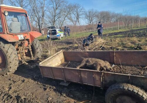 MĂSURI DURE ÎMPOTRIVA BRACONAJULUI CINEGETIC