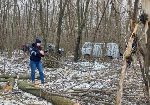 TĂIERI ILICITE DEPISTATE ÎN ZONA DE FRONTIERĂ