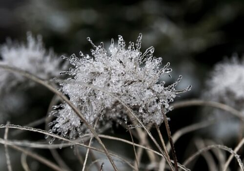 FEBRUARIE ÎNCEPE CU VREME RECE: PRECIPITAȚII ȘI POLEI ÎN WEEKEND