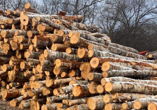 MOLDSILVA: PREȚ NESCHIMBAT ȘI STOCURI DE PESTE 100.000 DE METRI STERI DE LEMNE DE FOC DISPONIBILE ÎN SEZONUL RECE