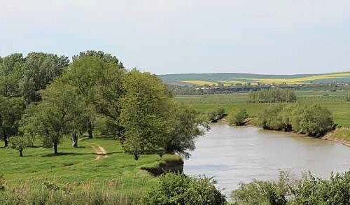 DOC // CONSILIUL COMUNAL HĂNĂȘENII NOI AMÂNĂ DECIZIA PRIVIND AMALGAMAREA CU ORAȘUL LEOVA PÂNĂ LA CONSULTAREA CETĂȚENILOR