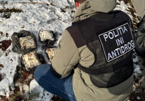 VIDEO // GRUPARE SPECIALIZATĂ ÎN CONTRABANDA CU DROGURI, DESTRUCTURATĂ DE POLIȚIE. DROGURI DE PESTE 6 MILIOANE DE LEI, CONFISCATE