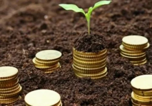 MINISTERUL AGRICULTURII ANUNȚĂ SUBVENȚII DE PÂNĂ LA 3 MILIOANE DE LEI PENTRU FERMIERI