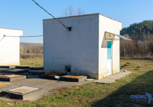 APEDUCT MODERNIZAT ȘI GRĂDINIȚĂ RENOVATĂ ÎN FUNDUL GALBENEI: PROIECTE DEZVOLTATE PRIN „SATUL EUROPEAN”