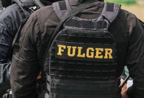 VIDEO // SCANDAL ÎN REZERVAȚIA NATURALĂ „PLAIUL FAGULUI”: ANGAJAȚI SUSPECTAȚI DE BRACONAJ, REȚINUȚI ÎN FLAGRANT