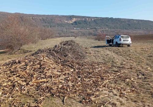 ÎNCĂLCĂRI GRAVE ALE GESTIONĂRII DEȘEURILOR DEPISTATE ÎN ORHEI ȘI ȘOLDĂNEȘTI. AMENZI ȘI SANCȚIUNI APLICATE