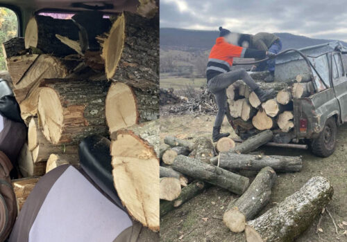 INSPECTORII DE MEDIU DIN STRĂȘENI AU APLICAT SANCȚIUNI PENTRU TRANSPORT ILEGAL DE MASĂ LEMNOASĂ ȘI DEPOZITARE NEAUTORIZATĂ A DEȘEURILOR