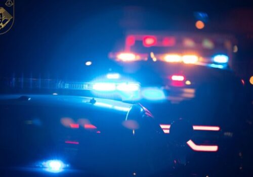 TÂNĂR DE 18 ANI, CONDAMNAT LA 9 ANI DE ÎNCHISOARE PENTRU OMOR CU FOARFECA ÎN NISPORENI