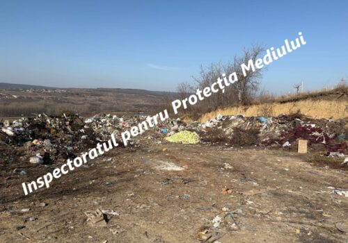 INSPECTORII DE MEDIU DIN CĂLĂRAȘI AU APLICAT SANCȚIUNI ÎN URMA RAZIILOR DE CONTROL